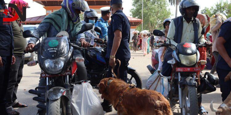 लागू औषध चेकजाँच गर्न कुकुर