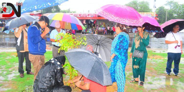 कोहलपुरमा आजदेखि वृक्षारोपण अभियान सुरु