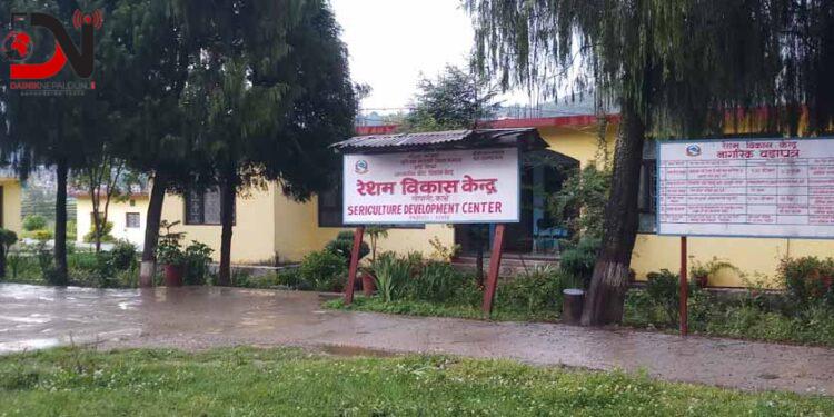 रेशम विकास केन्द्र : उत्पादन घट्दै, जेनतेन सञ्चालन