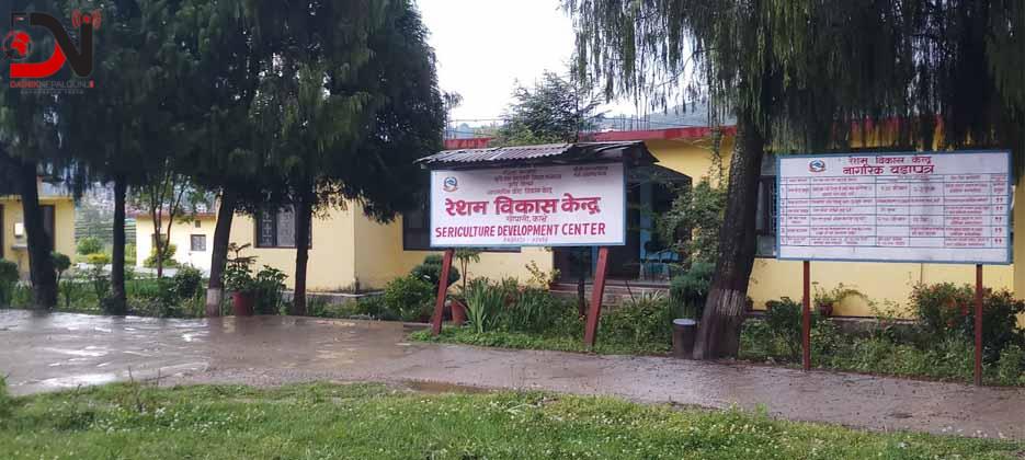 रेशम विकास केन्द्र : उत्पादन घट्दै, जेनतेन सञ्चालन