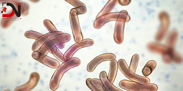 देशभर २० जनामा हैजा पुष्टि