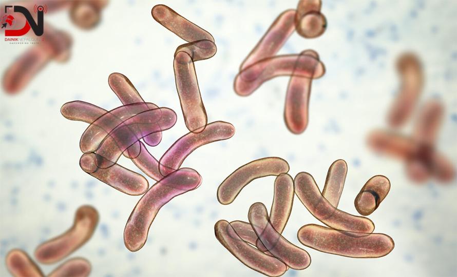 देशभर २० जनामा हैजा पुष्टि