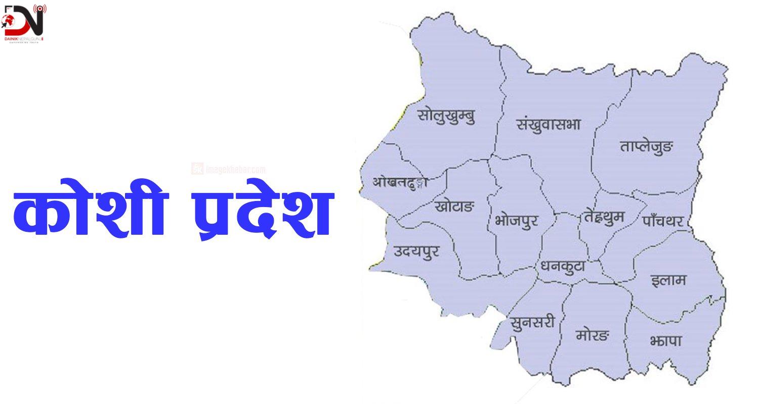 कोशीमा एक वर्षमा नौ हजारबढी मुद्दा दर्ता