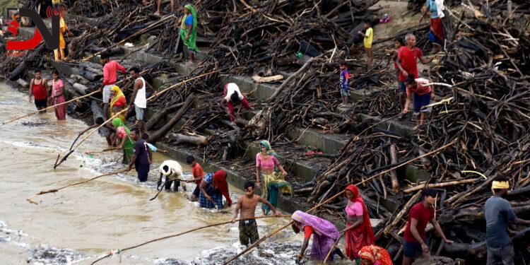 जोखिम मोलेर नदीबाट दाउरा झिक्दै स्थानीय