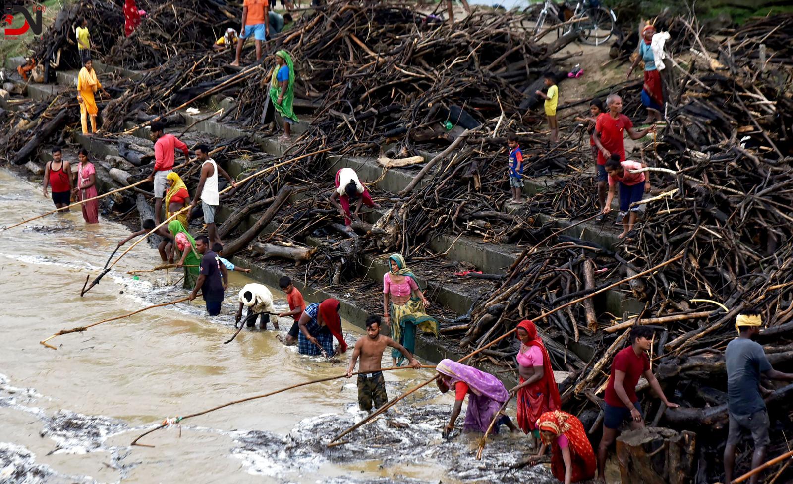 जोखिम मोलेर नदीबाट दाउरा झिक्दै स्थानीय