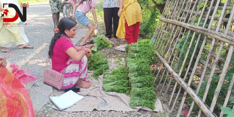 निगुरो व्यापार: लगानी बिना नै लोभलाग्दो आम्दानी