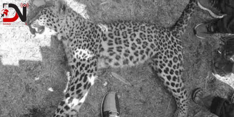 प्लानद्वारा बर्दियामा सञ्चालित परियोजना अनुगमन