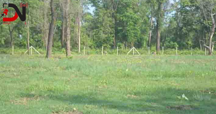 मौवा संरक्षणमा लुम्बिनी प्रदेश सरकारको चासो