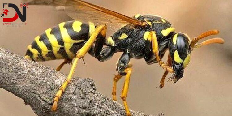 देशमा आजः ८ बजे ८ खबर