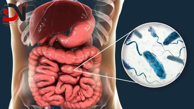 देशमा आजः ८ बजे ८ खबर