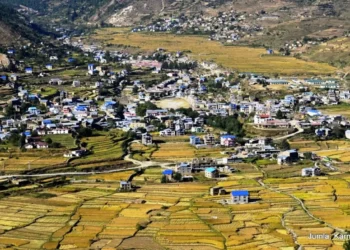 जुम्लामा अज्ञात रोगले मौरी मर्न थालेपछि किसान चिन्तित