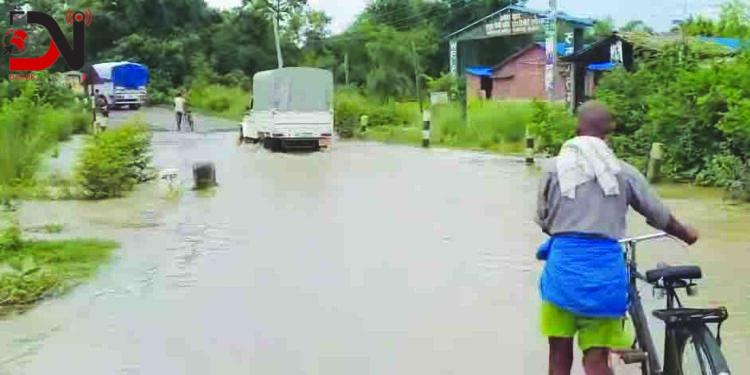 राज्यलाई गिज्याइरहेको पेडारी नाला