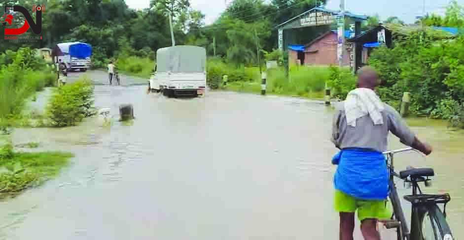 राज्यलाई गिज्याइरहेको पेडारी नाला