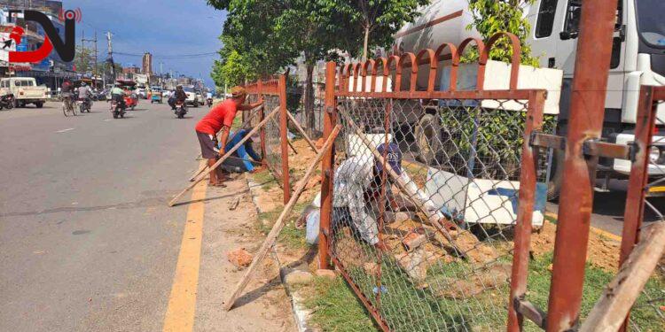 सडकका बीचमा लगाइएका बिरुवालाई जोगाउन तारजाली