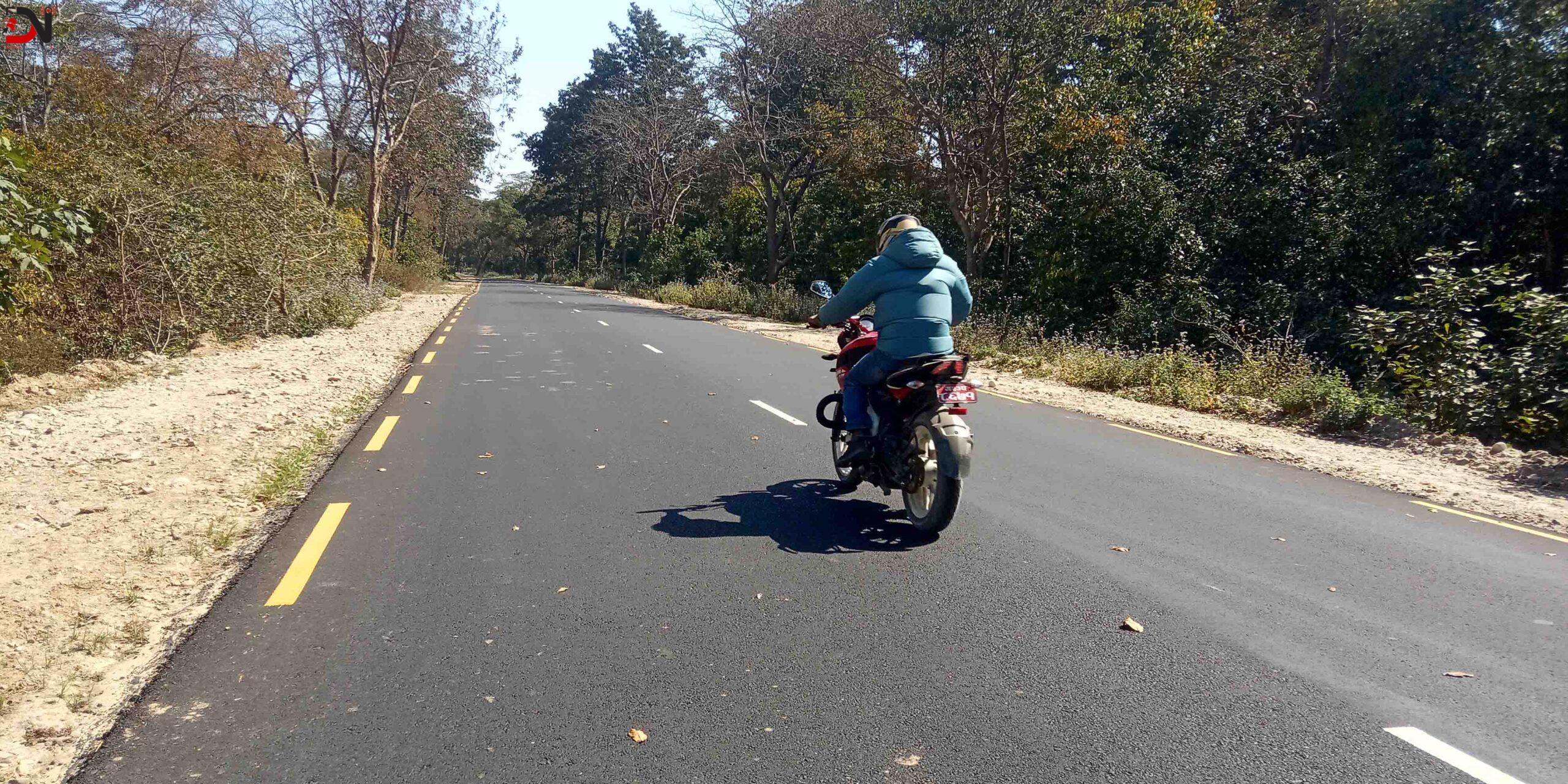 वनक्षेत्रमा विस्तारित सडकले वन्यजन्तुको बासस्थान साँघुरिदै