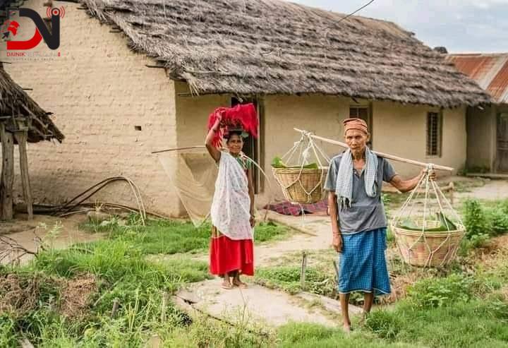 मनाइयो निजामति दिवस