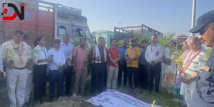 संघले आइसीपीमा रोप्यो चार सय बिरुवा