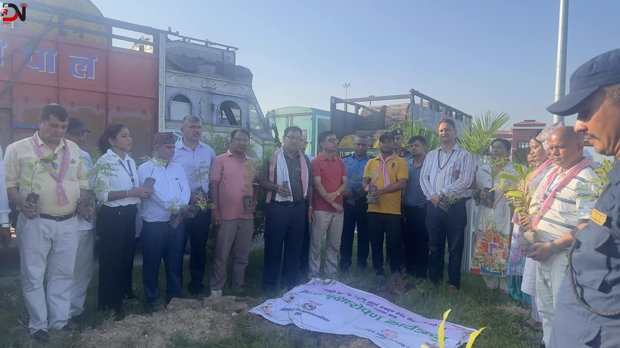 संघले आइसीपीमा रोप्यो चार सय बिरुवा