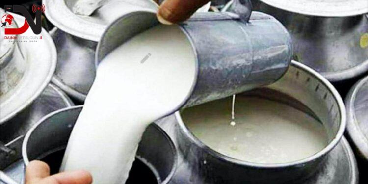 रुकुमपश्चिमका किसानलाई दूधमा १५ लाख अनुदान