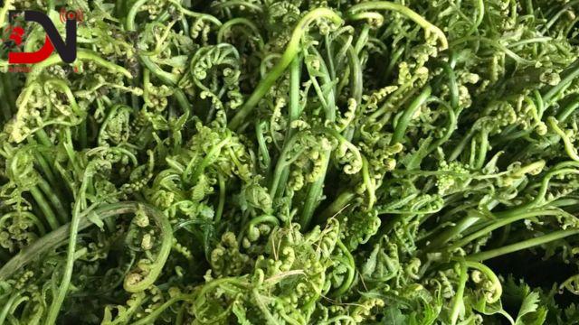 गुल्मीको निहुरो बुटवलदेखि काठमाडौँसम्म