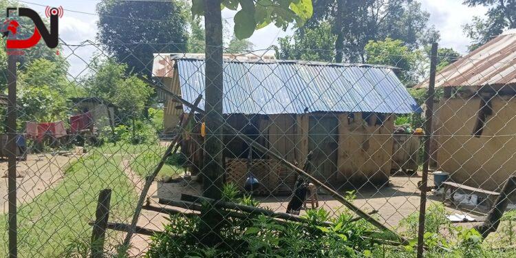 वन नजिकैको गाउँलाई जोगाउन तारजाली