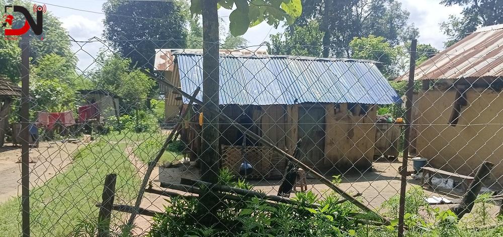 वन नजिकैको गाउँलाई जोगाउन तारजाली