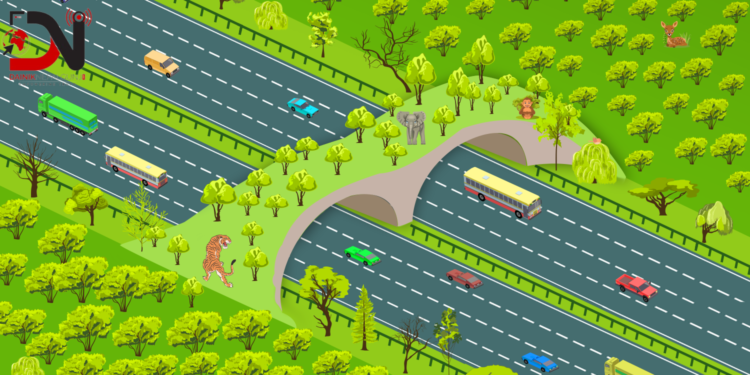 राजमार्गका संरचना वन्यजन्तुमैत्री हुनुपर्ने माग