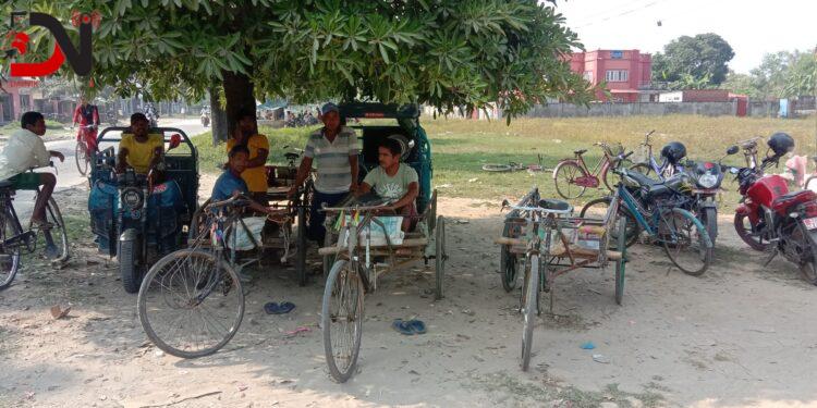 इलेक्ट्रिक रिक्साले विस्थापित हुँदै ठेला मजदुर