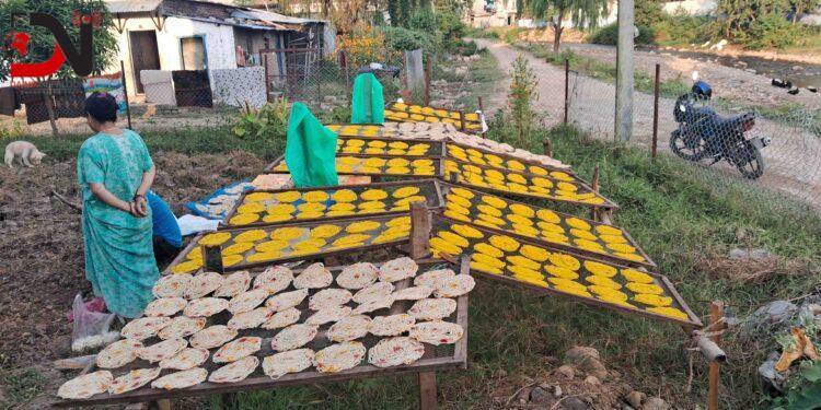 आम्दानीको स्रोत बन्दै सिन्कामारी रोटी