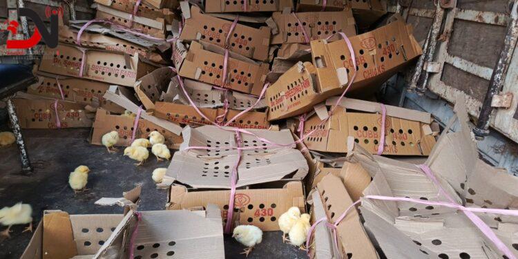 भारु राख्दा प्रहरी फन्दा