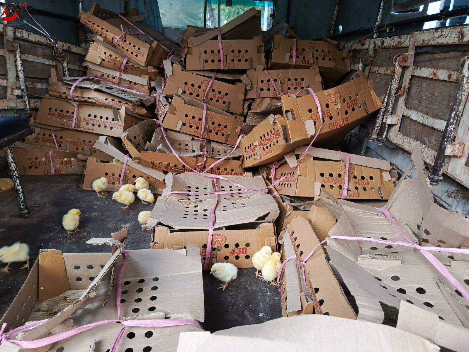 भारु राख्दा प्रहरी फन्दा