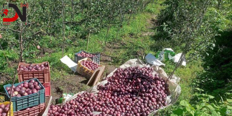 देशमा आजः ८ बजे ८ खबर