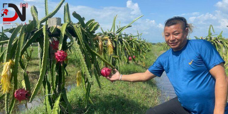२२ लाख लगानीमा ड्रयागन खेती