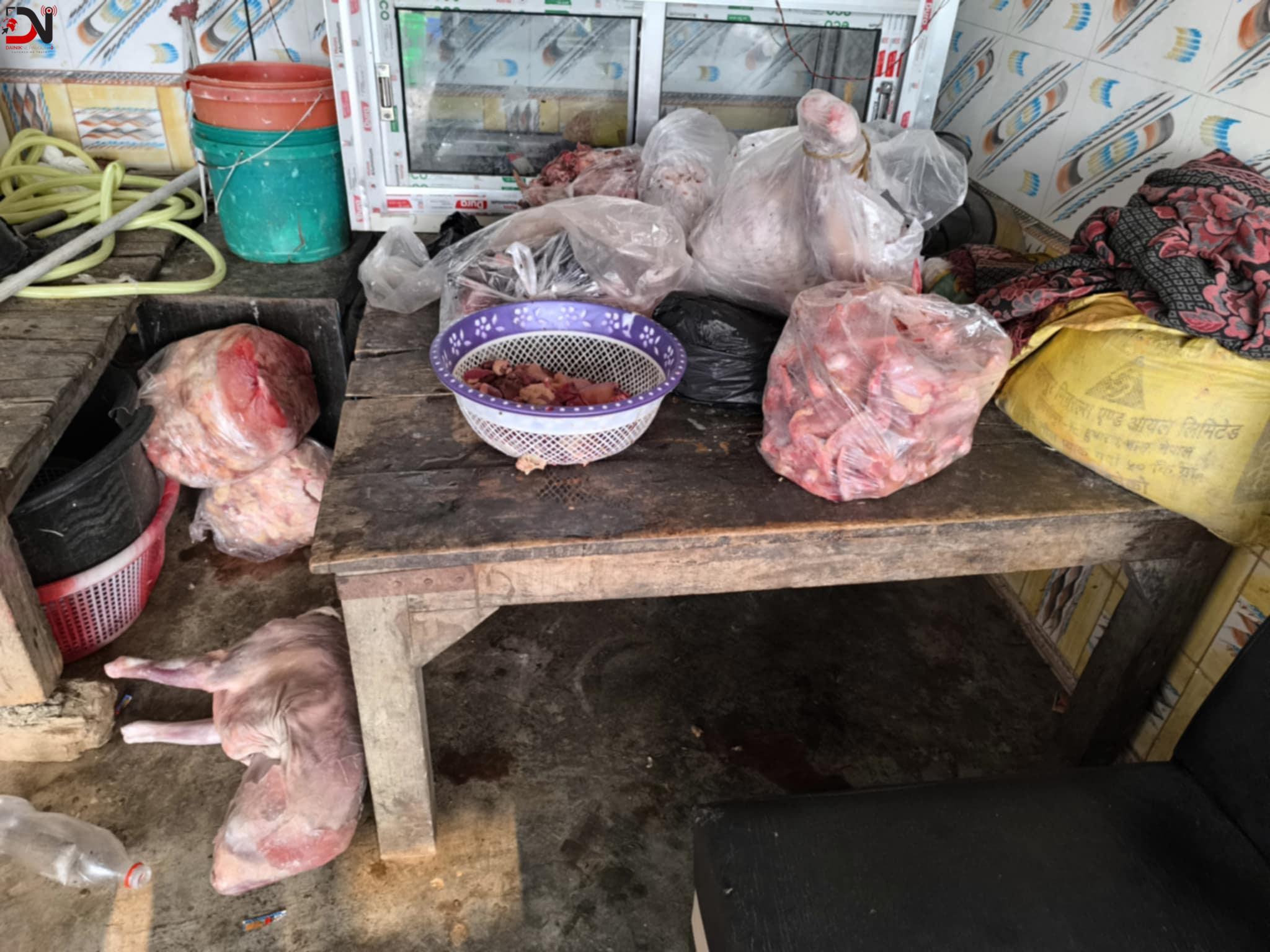 नेपालगन्ज : १ सय ७३ केजी मासु नष्ट