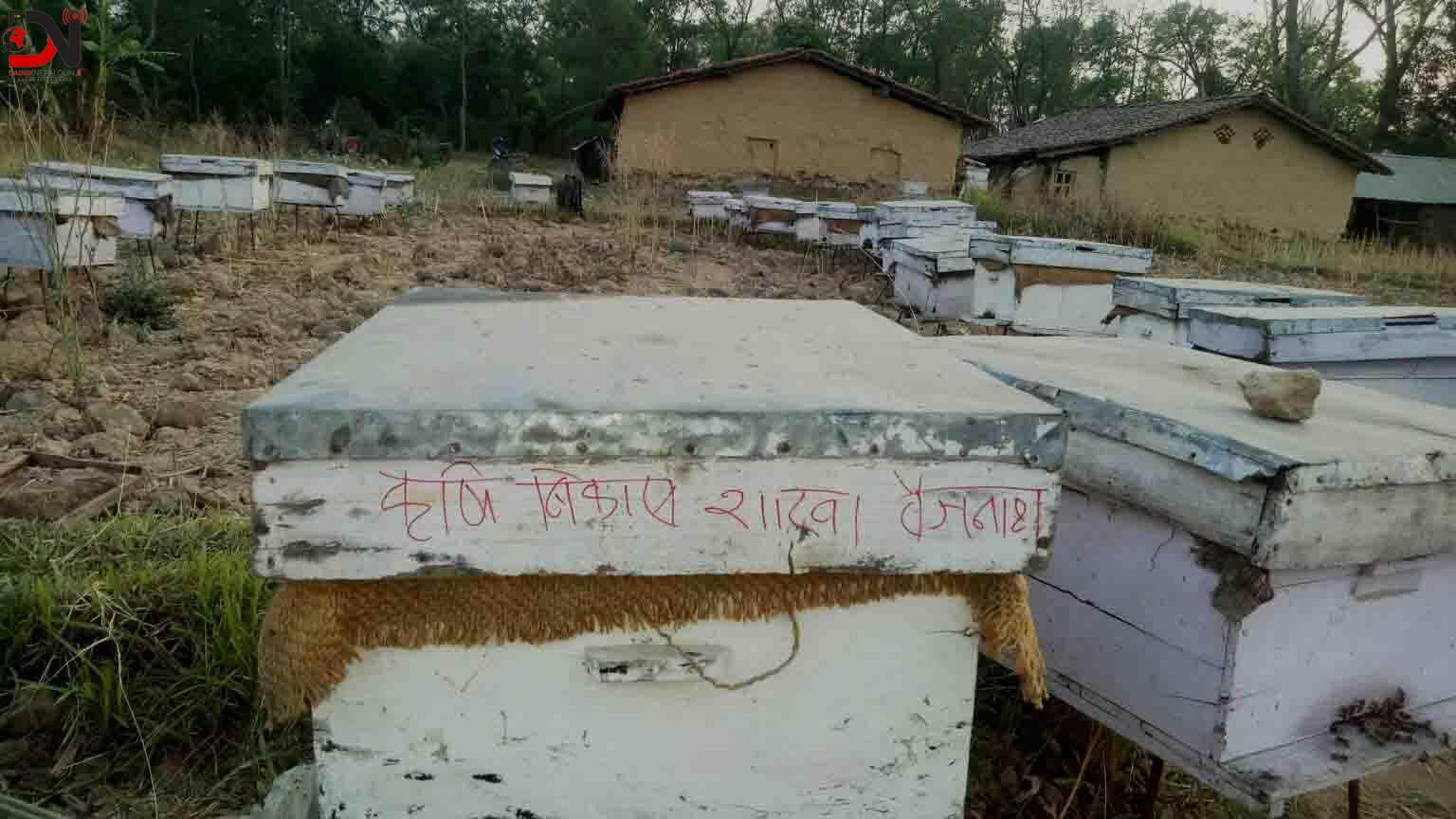 मह बेचेर वार्षिक चौध लाख आम्दानी गर्दै नन्दकला