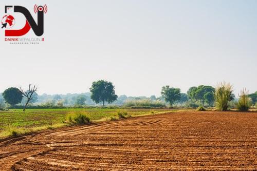 घरजग्गा कारोबारः सबैभन्दा बढी झापामा हुँदा अन्य जिल्लामा कति ?