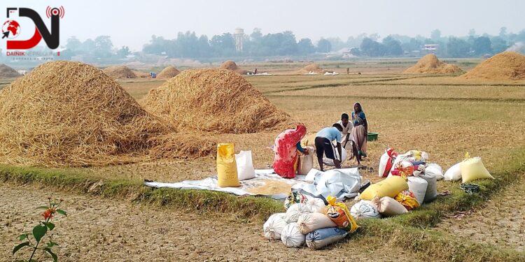 किसानलाई बर्षाको डर