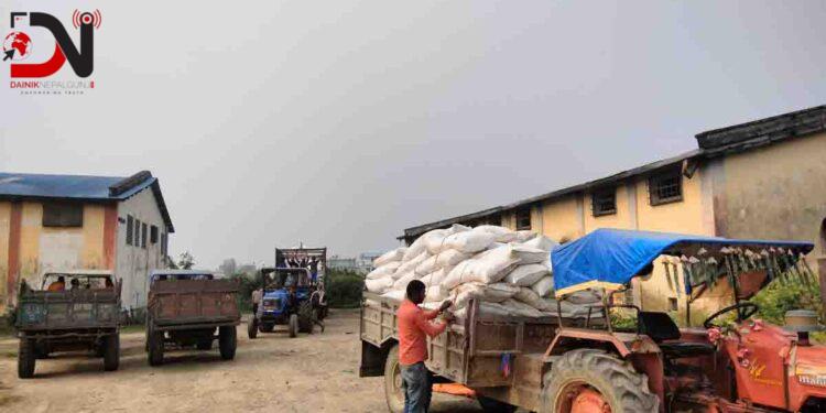 गहुँ छर्ने बेला छैन मल