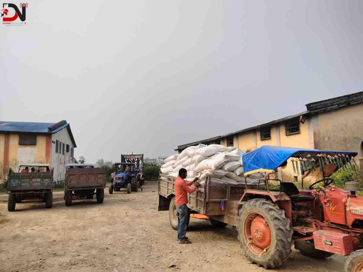 गहुँ छर्ने बेला छैन मल