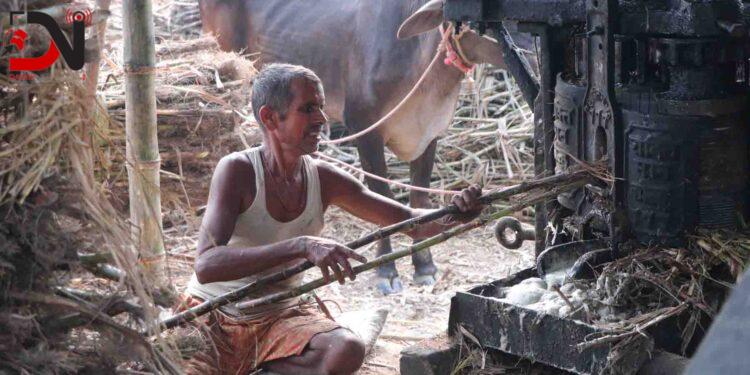 ‘सख्खर जस्तै गुलियो व्यापार’