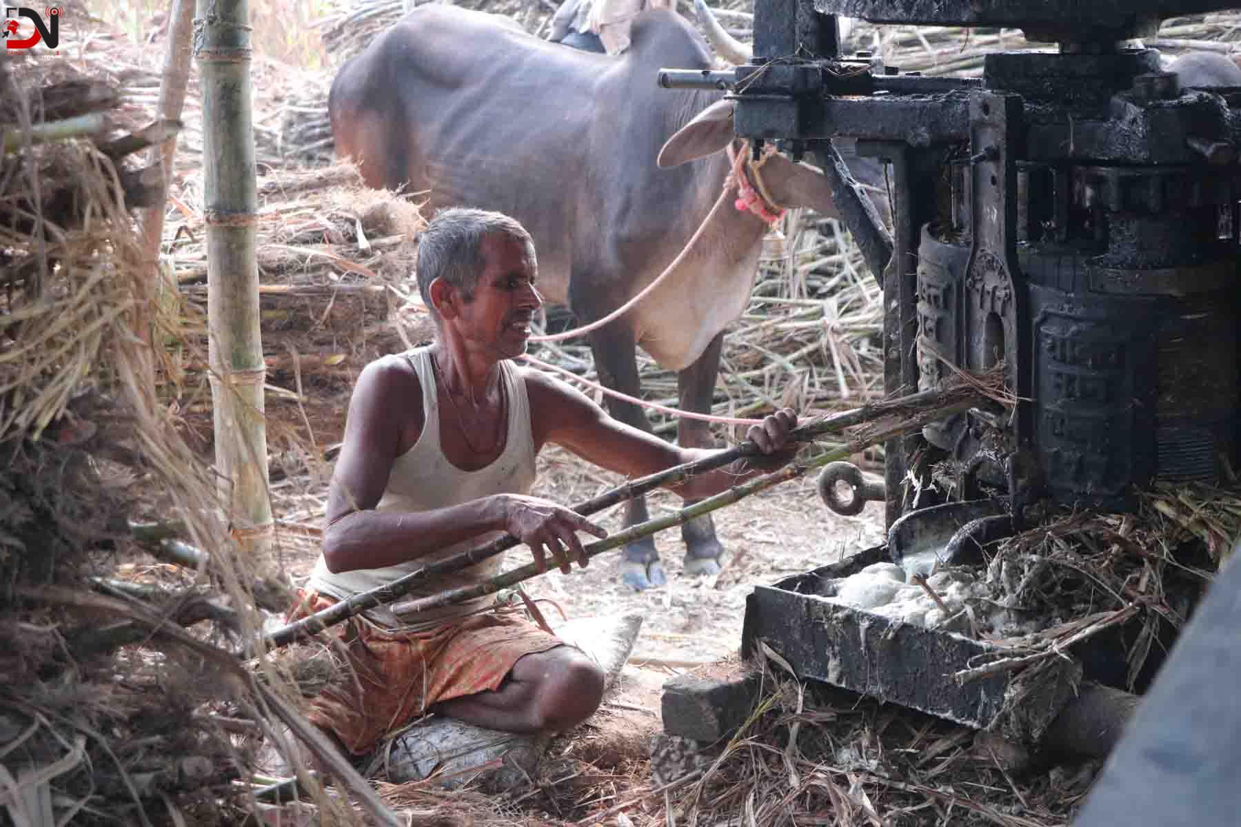 ‘सख्खर जस्तै गुलियो व्यापार’