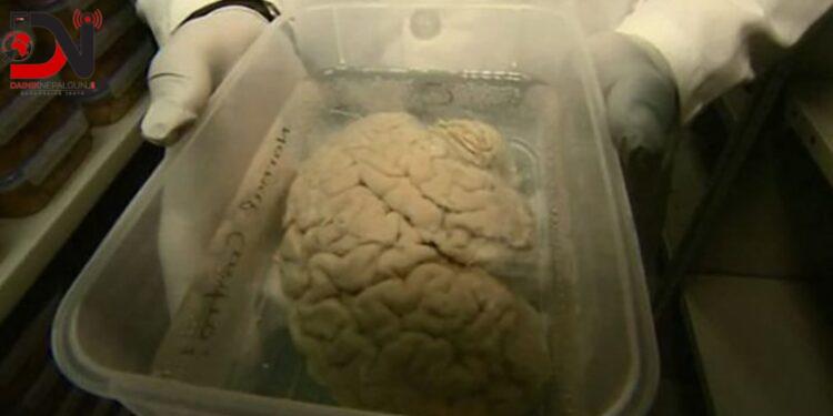 देशमा आजः ८ बजे ८ खबर