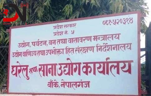 घरेलुको आफ्नै घर