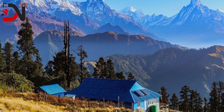 हिमाल हेर्न कोखेडाँडा