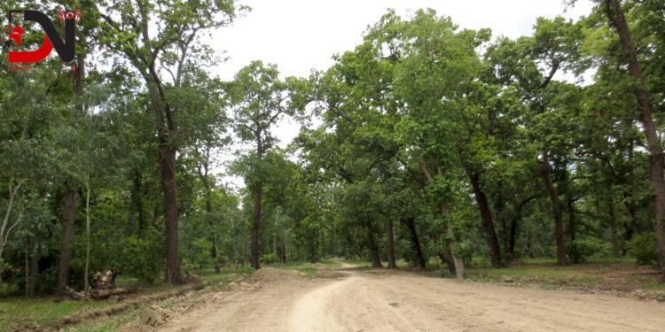 भेरी करिडोरः नलगाड–तल्लु खण्डमा धमाधम काम हुँदै