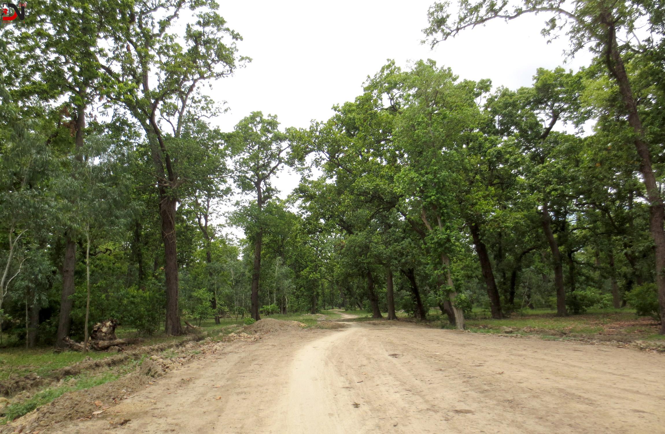 भेरी करिडोरः नलगाड–तल्लु खण्डमा धमाधम काम हुँदै