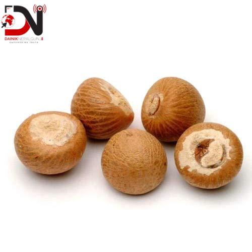 डिएनए परीक्षणको अन्योलले सुपारी निर्यात अनिश्चित, एक लाख किसान प्रभावित