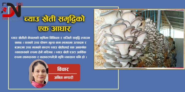 च्याउ खेती समृद्धिको एक आधार