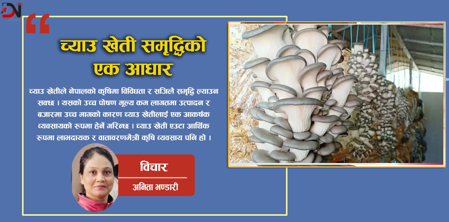 च्याउ खेती समृद्धिको एक आधार