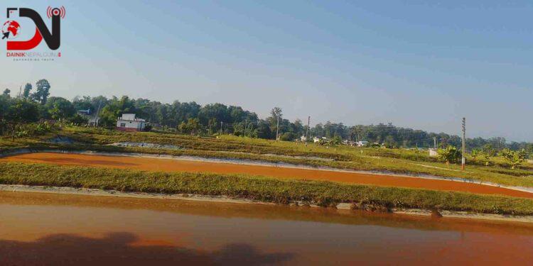 दुई करोडभन्दा बढी माछाका भुरा उत्पादन